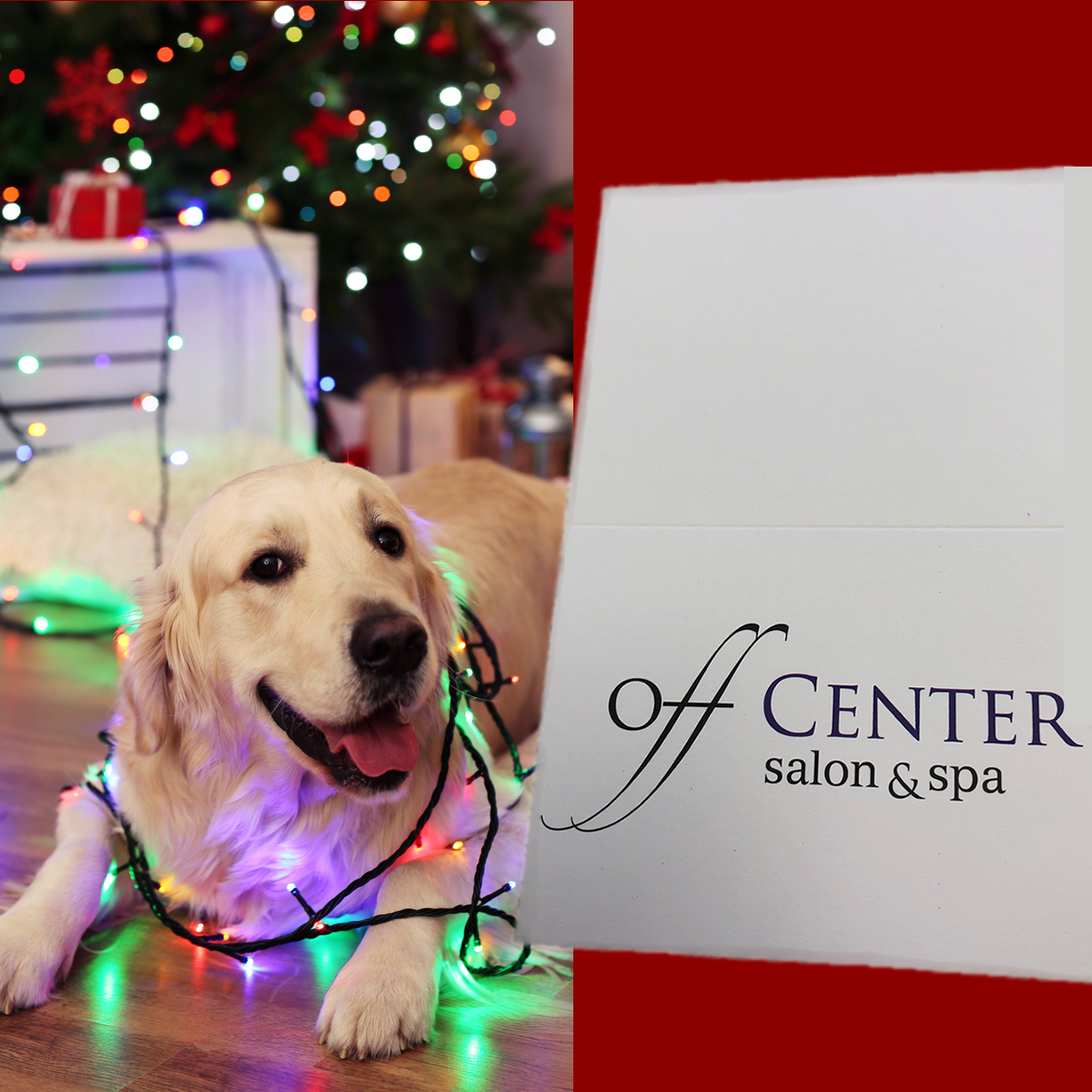 Collection 104+ Wallpaper Victoria Spa West Hartford Ct Superb